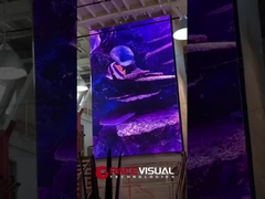 BUD 시리즈 P2.5mm